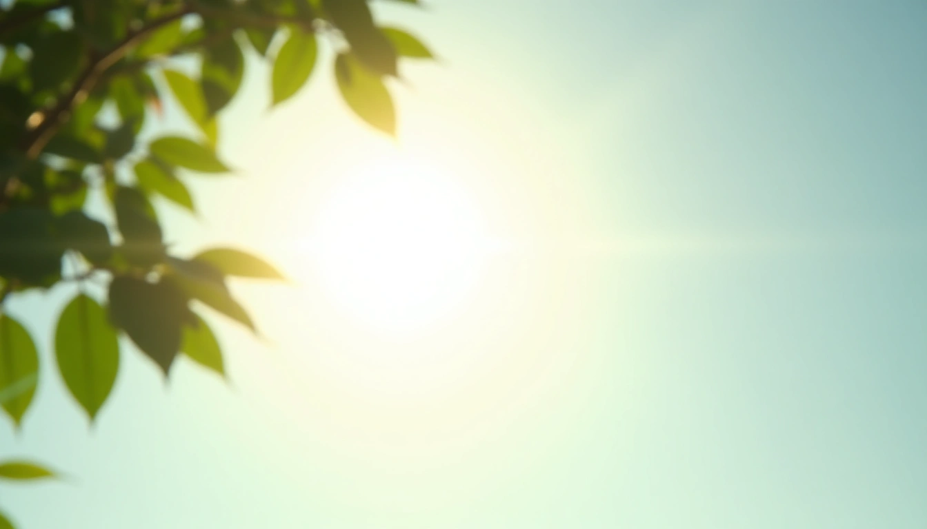 木漏れ日と明るい空